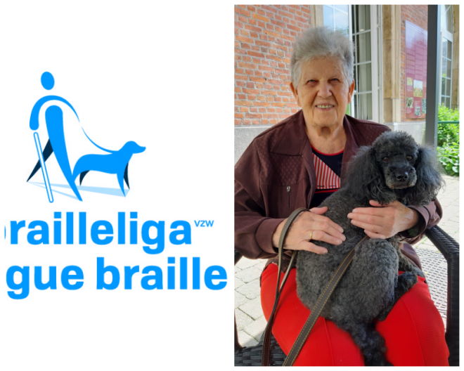 Review Ligue Braille image 23662