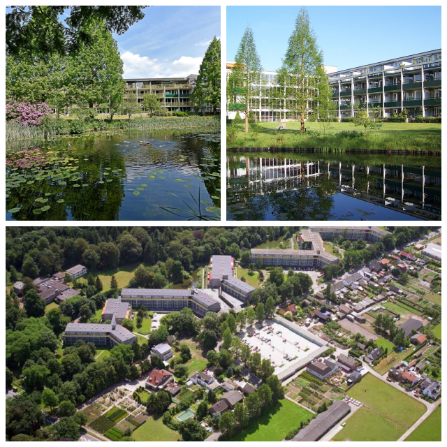Review Park Boswijk Foundation image 23652