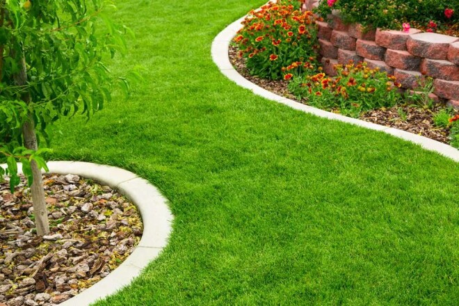 Review BEST PLANTS image 356992