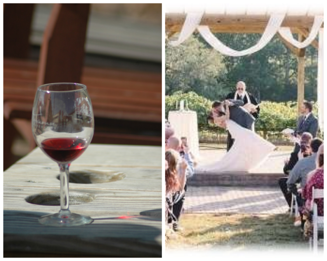 Review Treehouse Vineyards image 208135