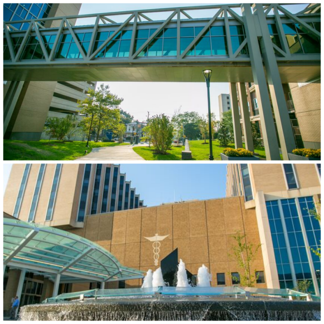 Review Bridgeport hospital image 239823