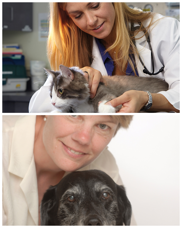 Review Oregon veterinary referral image 332877