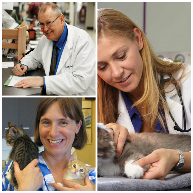 Review Oregon veterinary referral image 332878