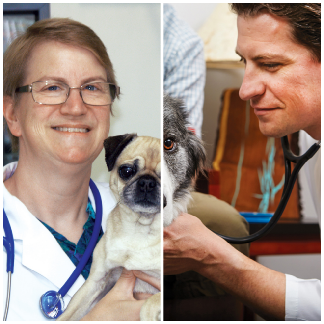 Review Oregon veterinary referral image 332879
