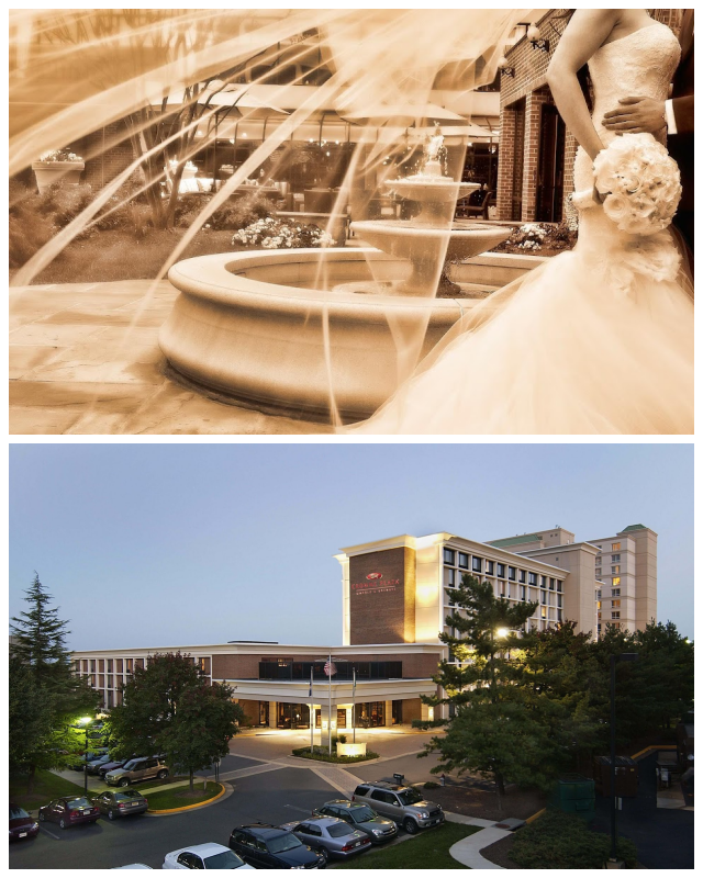 Review Crowne Plaza Tysons Corner image 224561