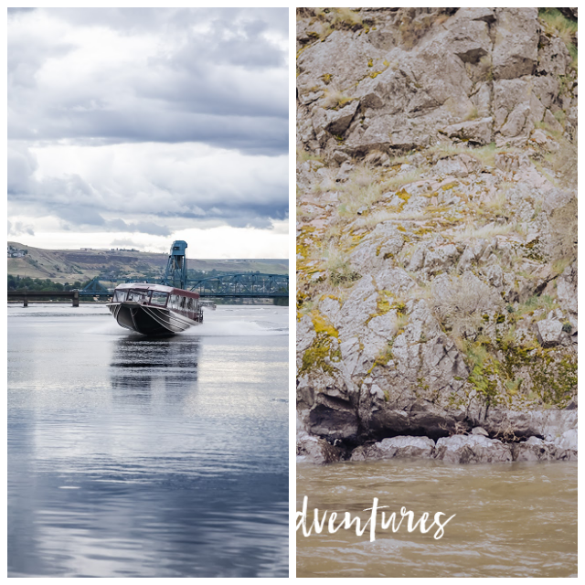 Review Snake River Adventures and Riverquest Excursions image 142469