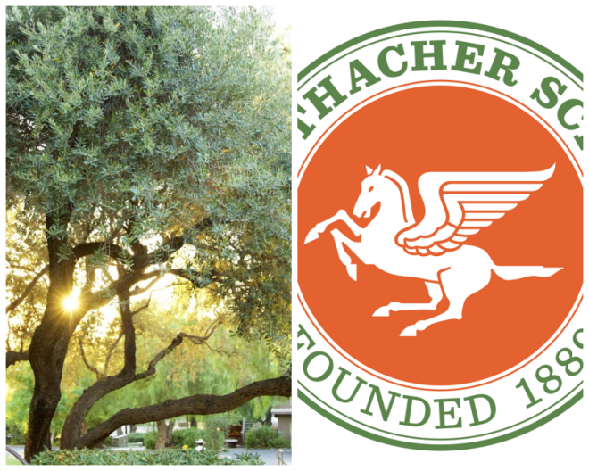 Review The thacher school image 253387