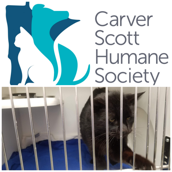 Review Carver-Scott Humane Society image 120370