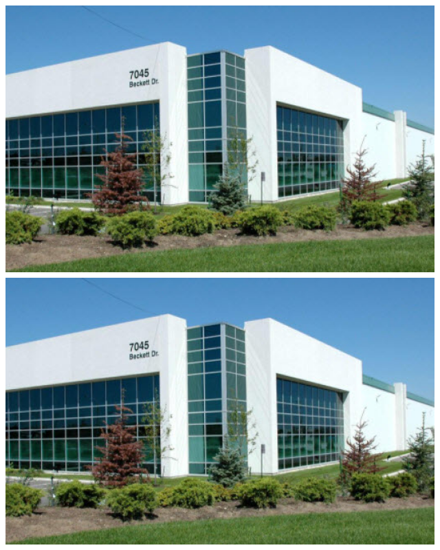 Review Curtis International Ltd image 174955