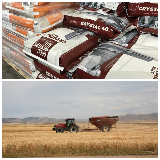 Review Great western malting company (a graincorp business) image 259458