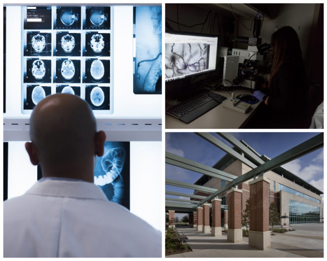 Review Texas A&M Health Science Center image 51599