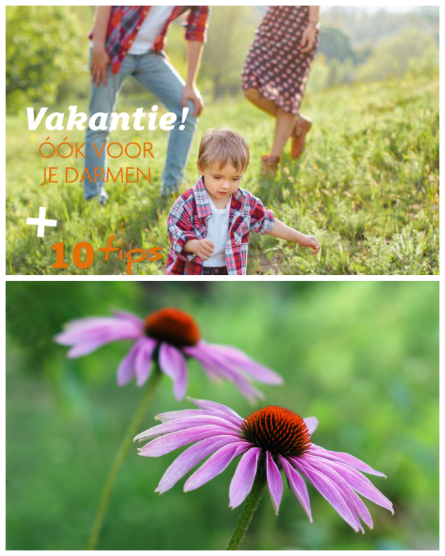 Review Koninklijke Vereniging Homeopathie Nederland image 51594