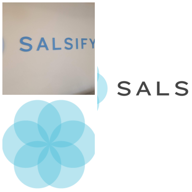 Review Salsify image 241798