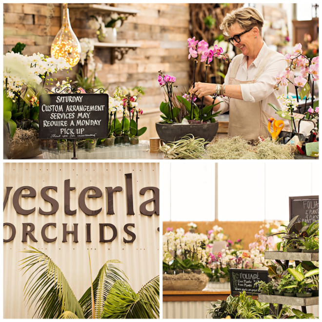 Review Westerlay Orchids image 108416