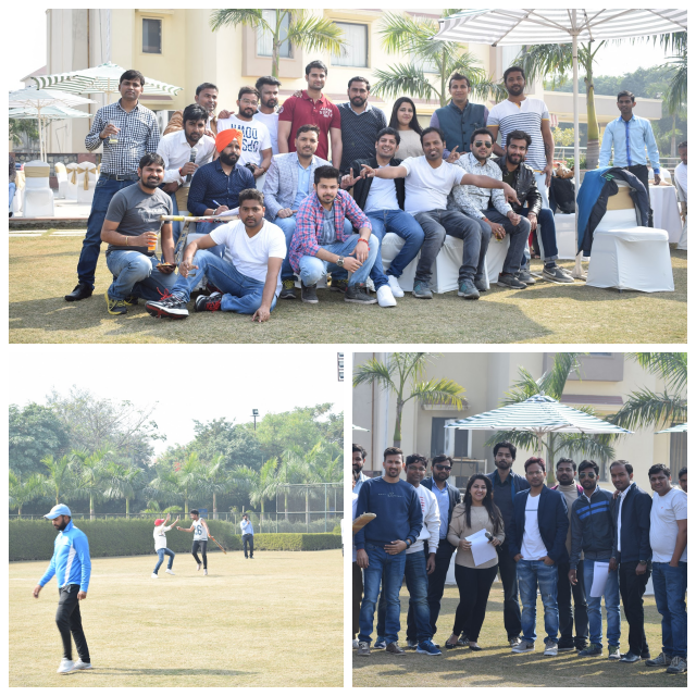 Review Netprophets cyberworks pvt. ltd. image 327091