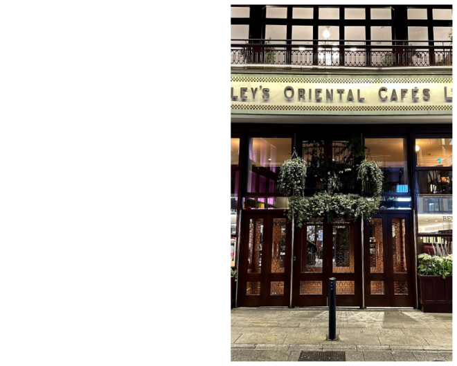Review Bewley's Cafe Theatre image 157352