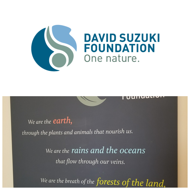 Review The David Suzuki Foundation image 30872