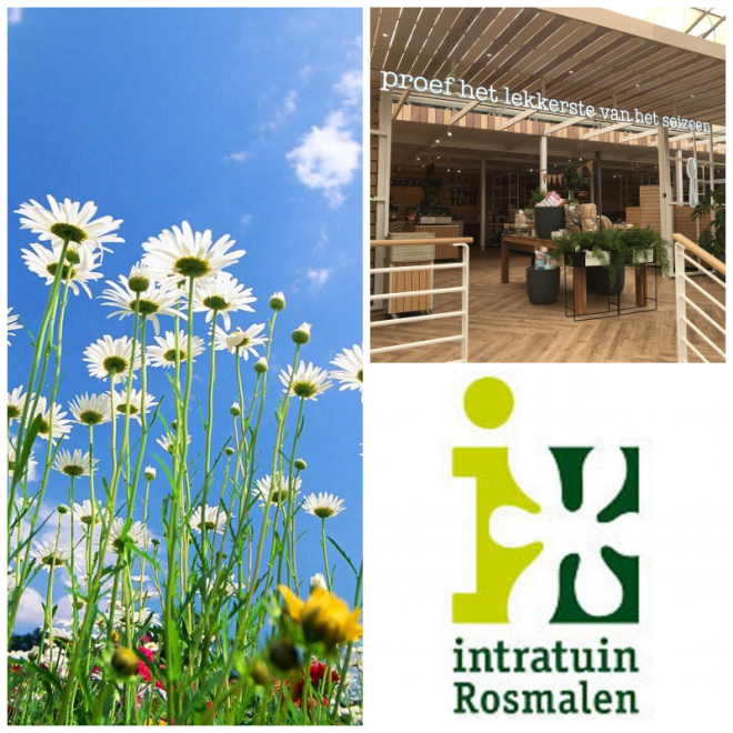 Review Intratuin Rosmalen image 64257
