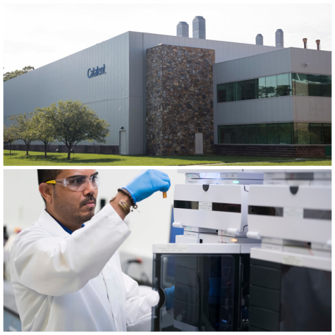 Review Catalent pharma solutions St. Petersburg FL image 37331