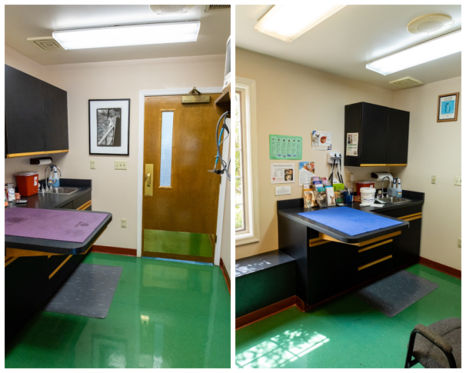 Review Crozet veterinary care center image 270037
