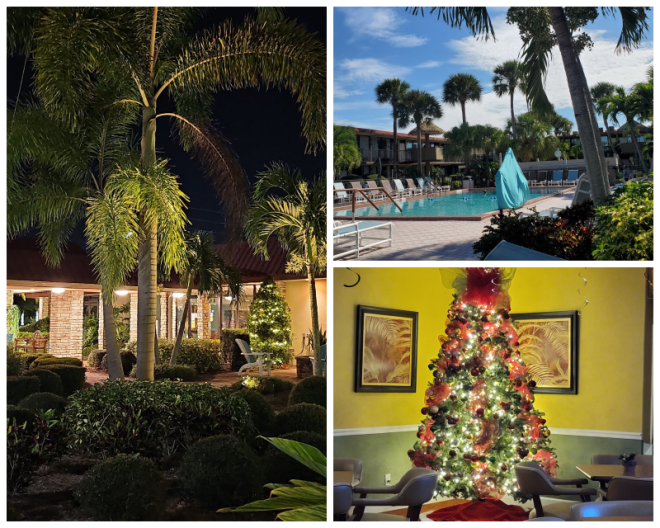 Review Magic tree resort image 316425