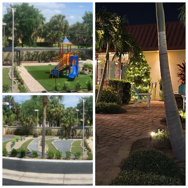 Review Magic tree resort image 316426
