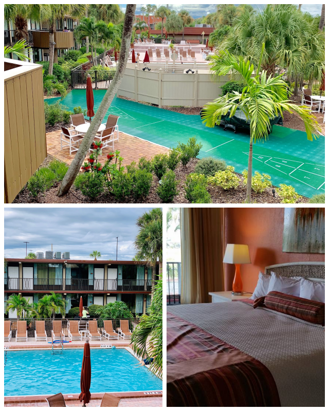 Review Magic tree resort image 316428