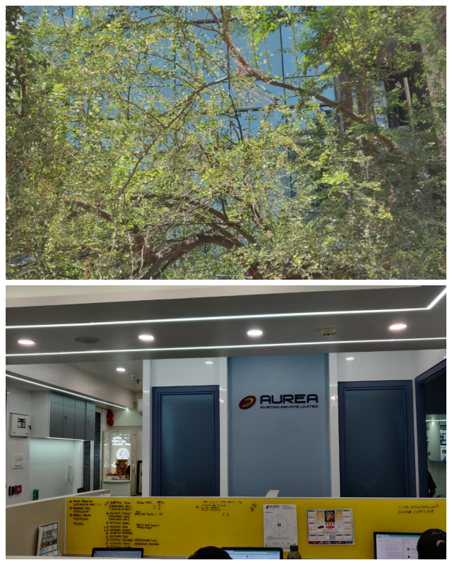 Review Aurea Aviation Private Limited image 155299