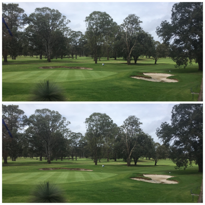 Review Georges River Golf Course image 203099