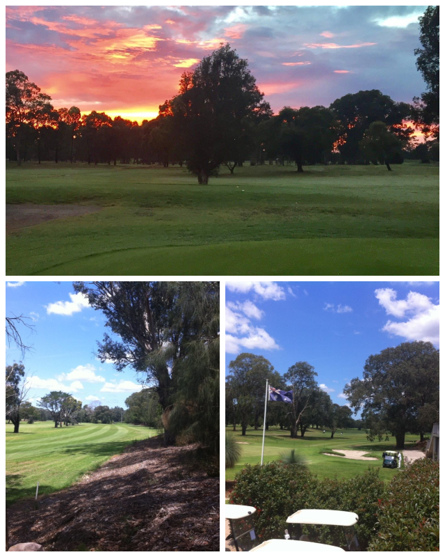 Review Georges River Golf Course image 203100