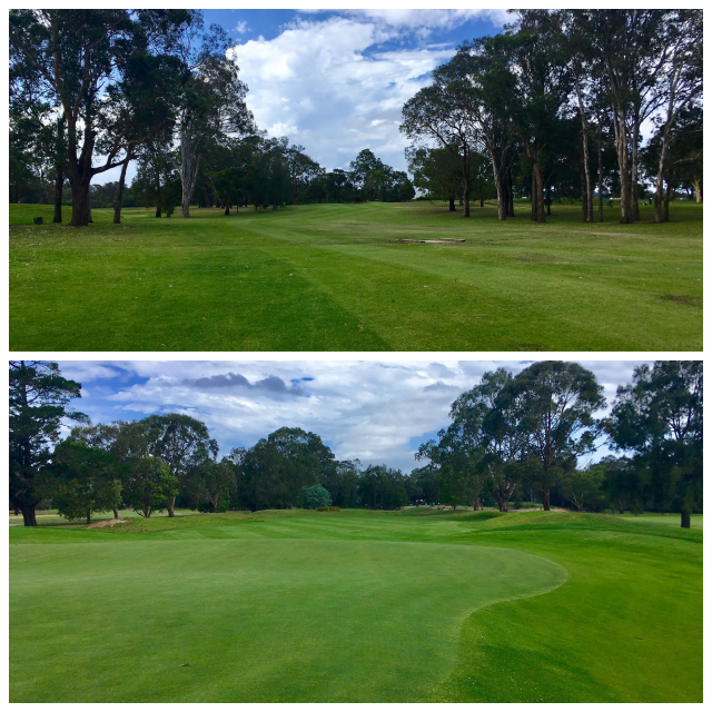 Review Georges River Golf Course image 203101