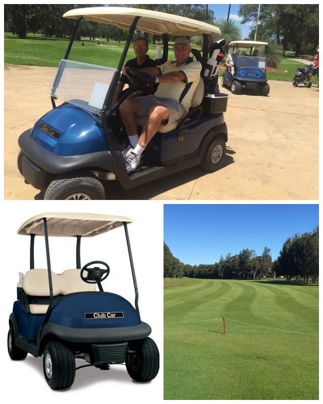 Review Georges River Golf Course image 203102