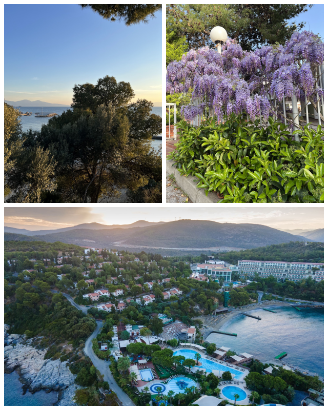 Review Pine Bay Holiday Resort image 85884