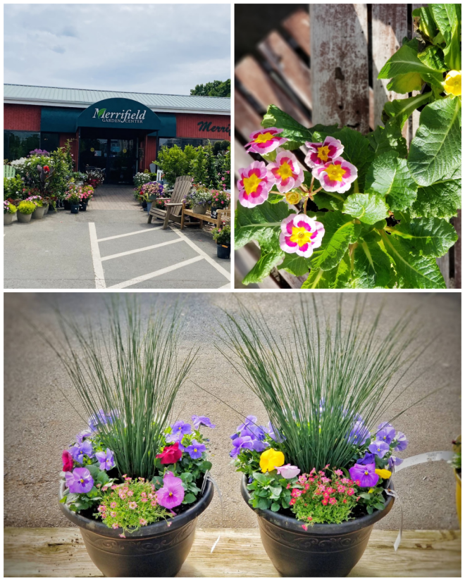 Review Merrifield Garden Center image 1994