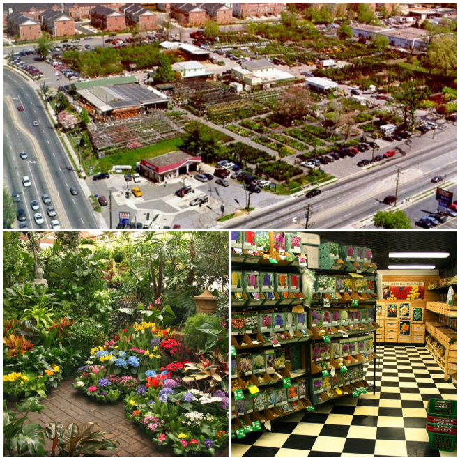 Review Merrifield Garden Center image 1996