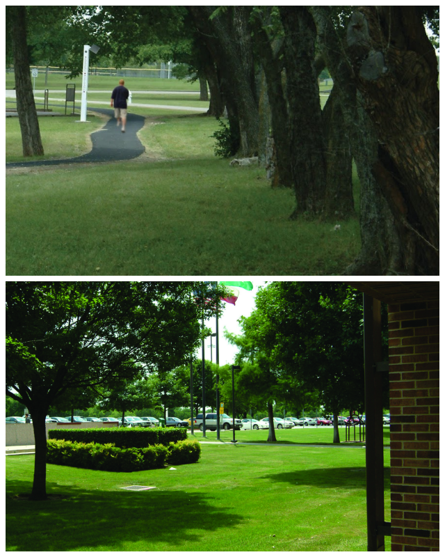 Review Brookhaven college image 240746