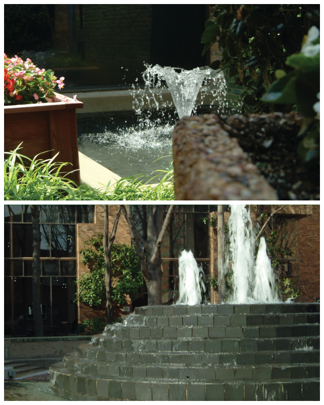 Review Brookhaven college image 240747