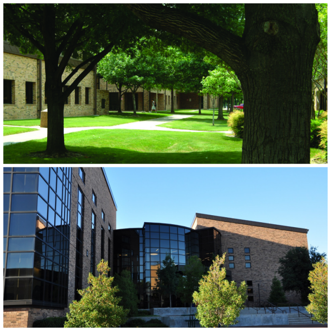 Review Brookhaven college image 240748