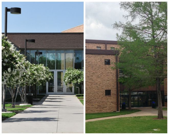 Review Brookhaven college image 240749