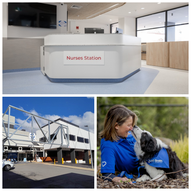 Review RSPCA, Lort Smith, Anvet, etc image 123786