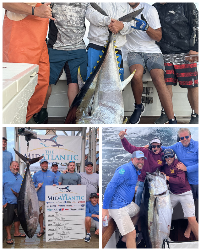 Review ROFFS™, Roffer's Ocean Fishing Forecasting Service, Inc. image 20937