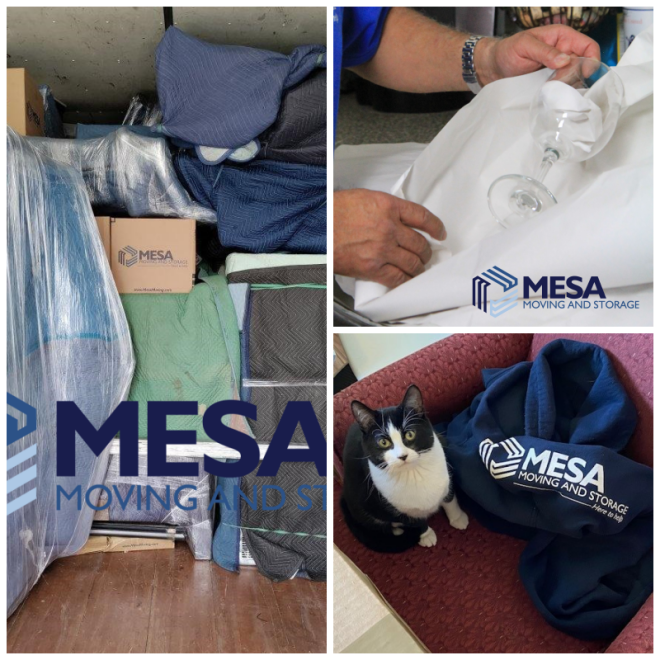 Review Mesa systems image 268044
