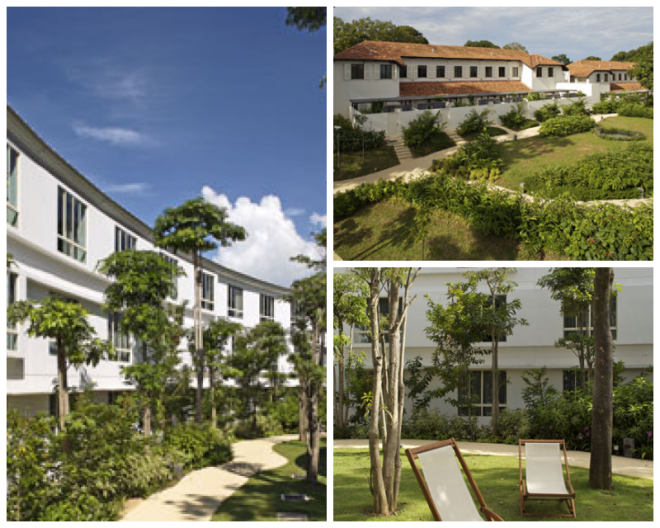 Review Amara Sanctuary Sentosa image 23229