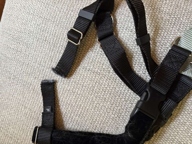 Review 2 hounds design image 358775