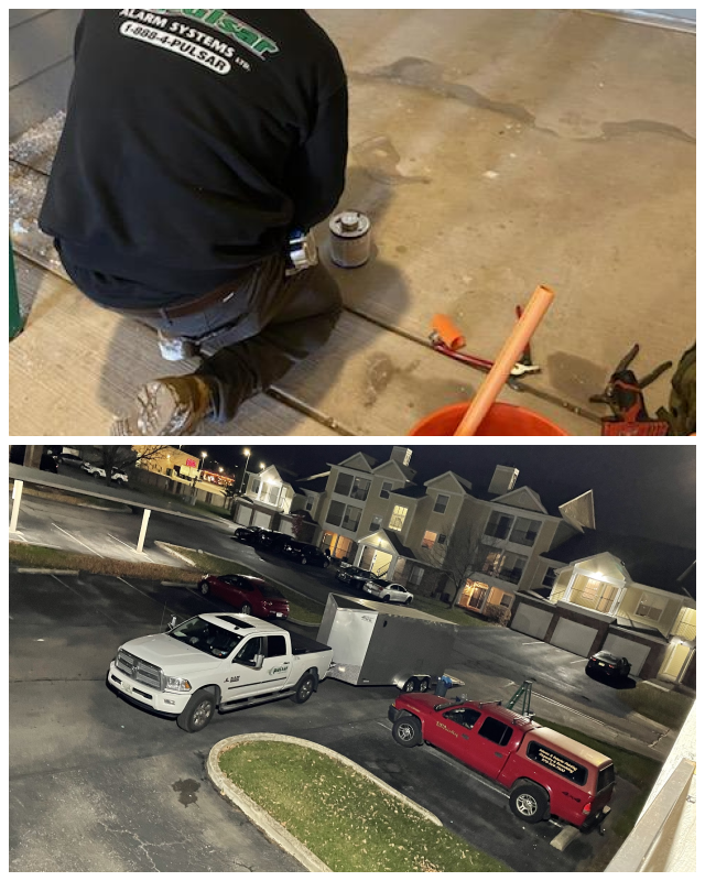 Review Pulsar alarm systems ltd image 341332