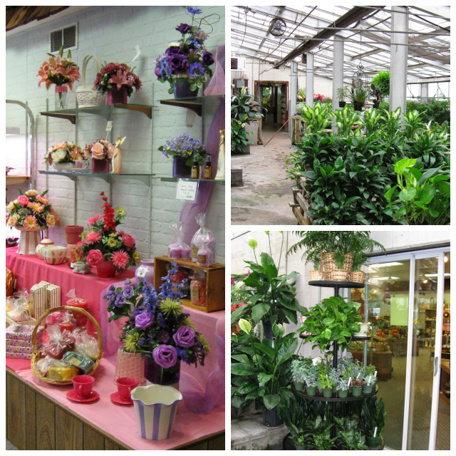 Review Dick adgate florist, inc. image 274289