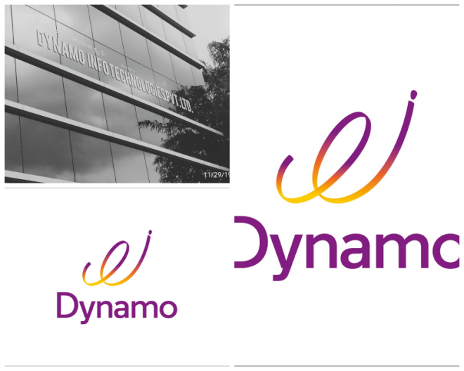 Review Dynamo info technologies pvt ltd. image 277350