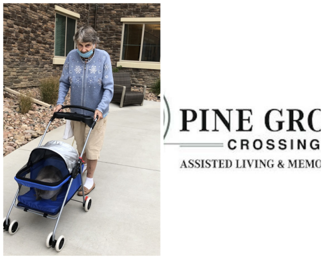 Review Pinegrove Estates Continuing Care Community image 150521