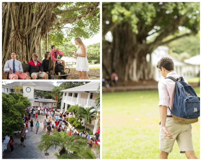 Review Saint andrew's school image 242591