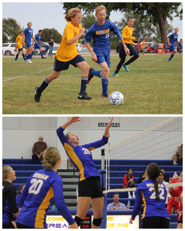 Review Berean academy image 267584